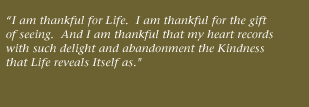 Michele Mitchell Ostlund quote